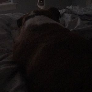 Meet your Posher, Meg